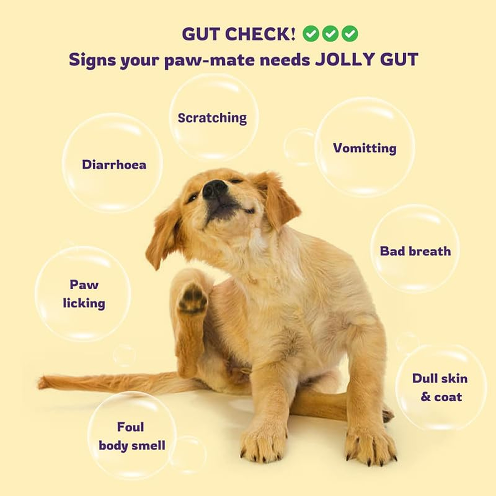 Unleash Wellness Jolly Gut Pre and Pro Biotic Supplement for Dogs and Cats image 8