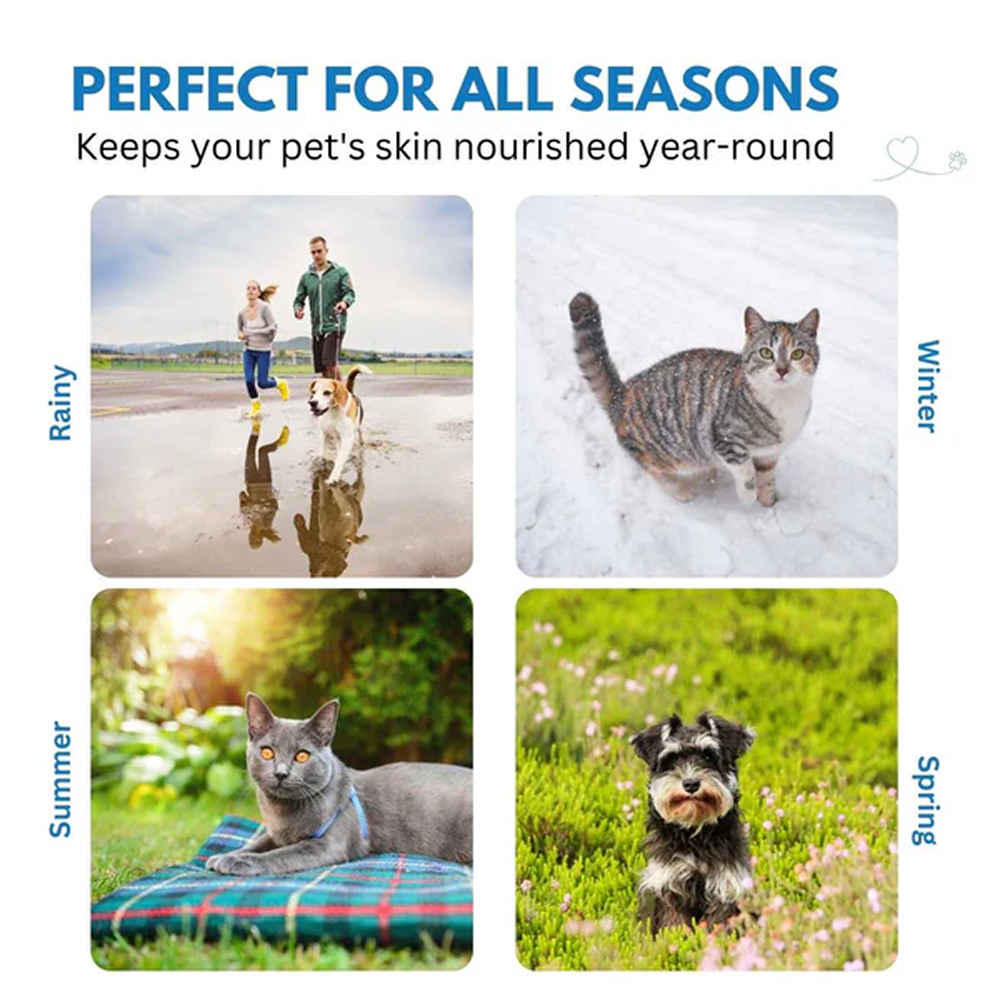Hank Paw Cream for Dogs and Cats image 6