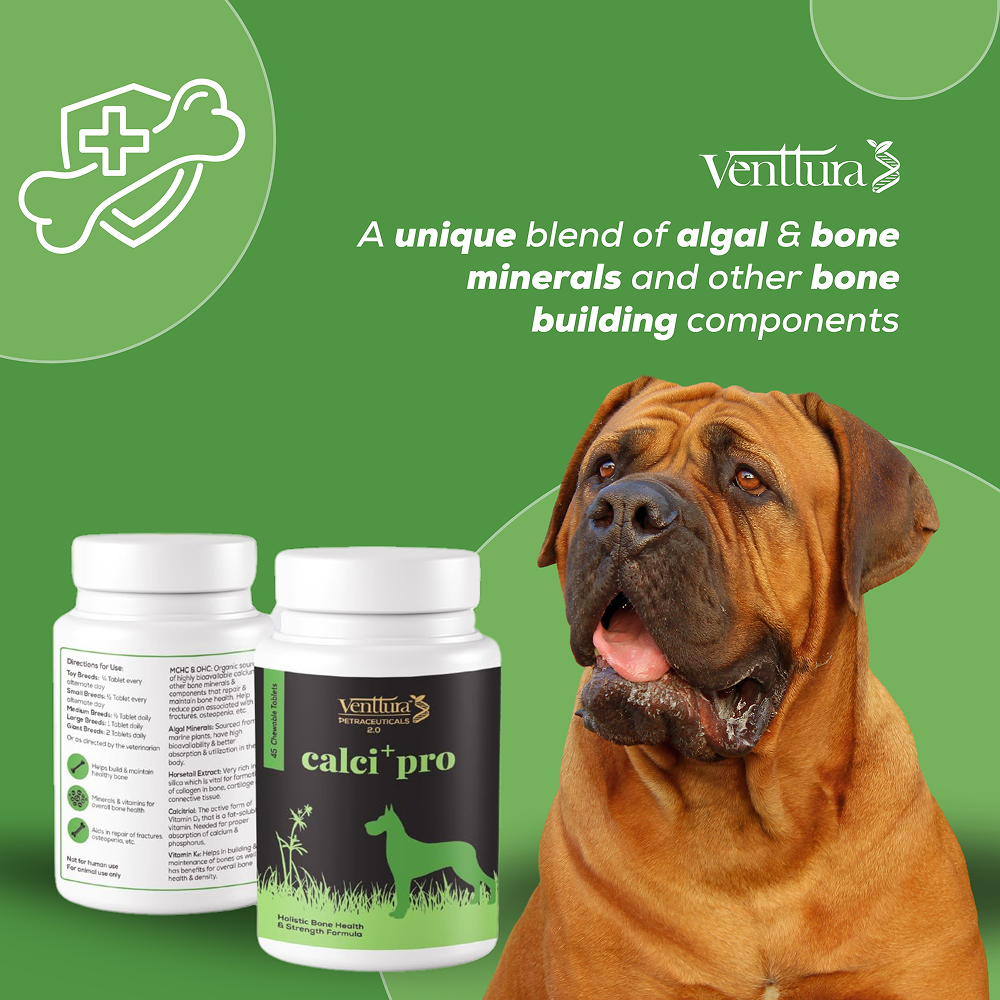 Venttura Calci Pro Plus Chewable Calcium Supplement Tablets for Dogs image 5