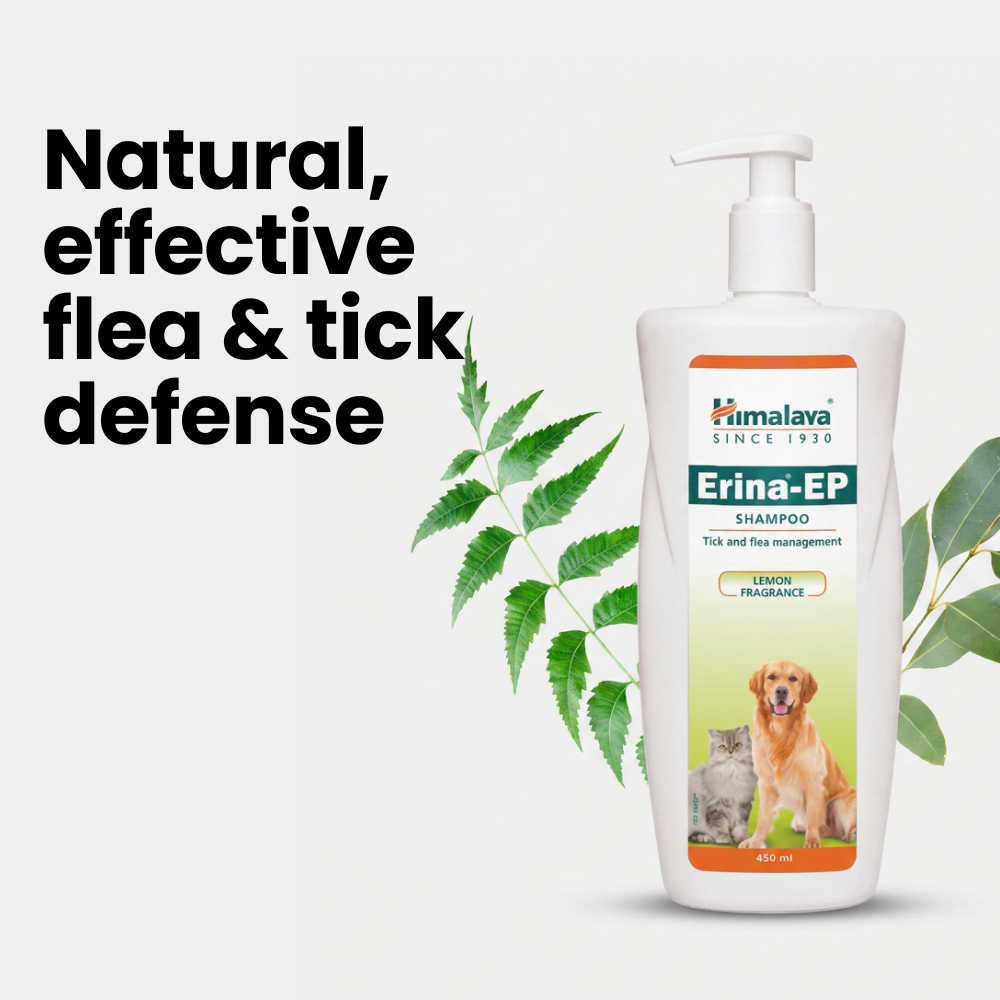 Himalaya Erina EP Tick and Flea Shampoo for Dogs and Cats image 3