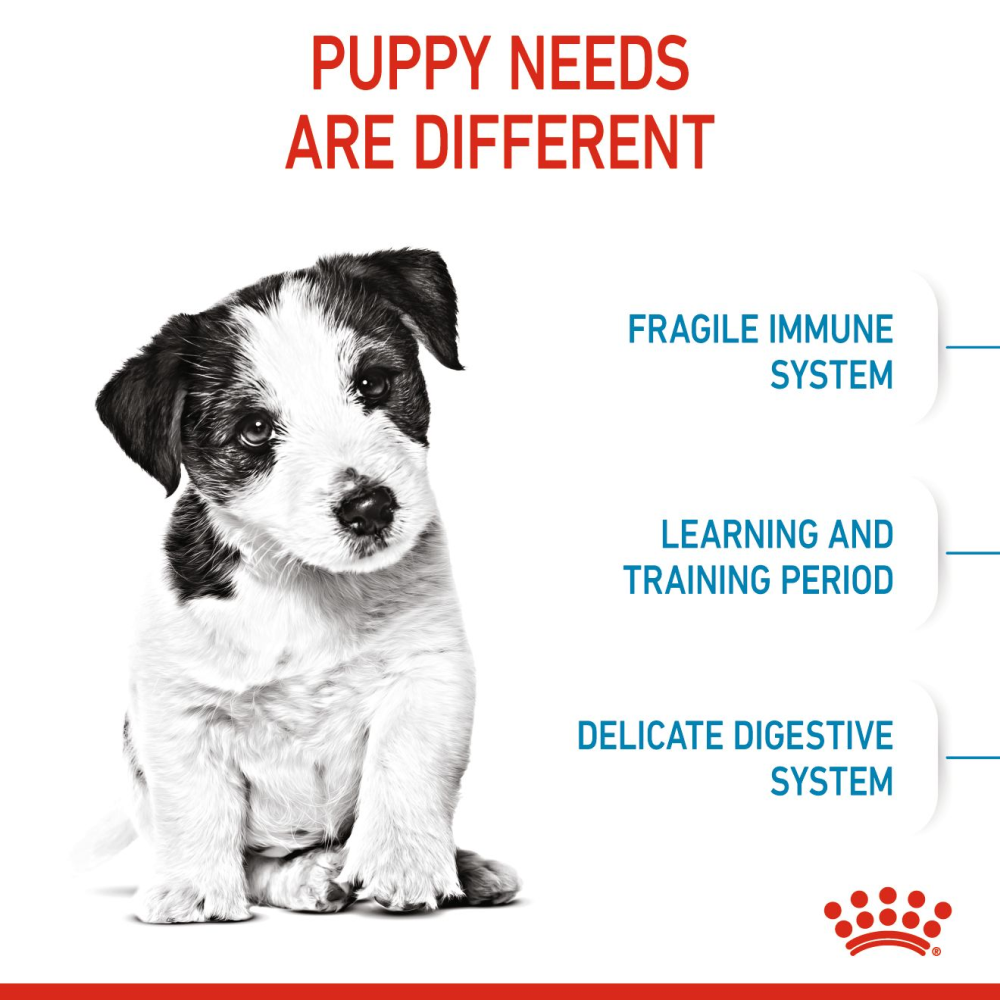 Royal Canin Mini Puppy Dog Dry Food image 4