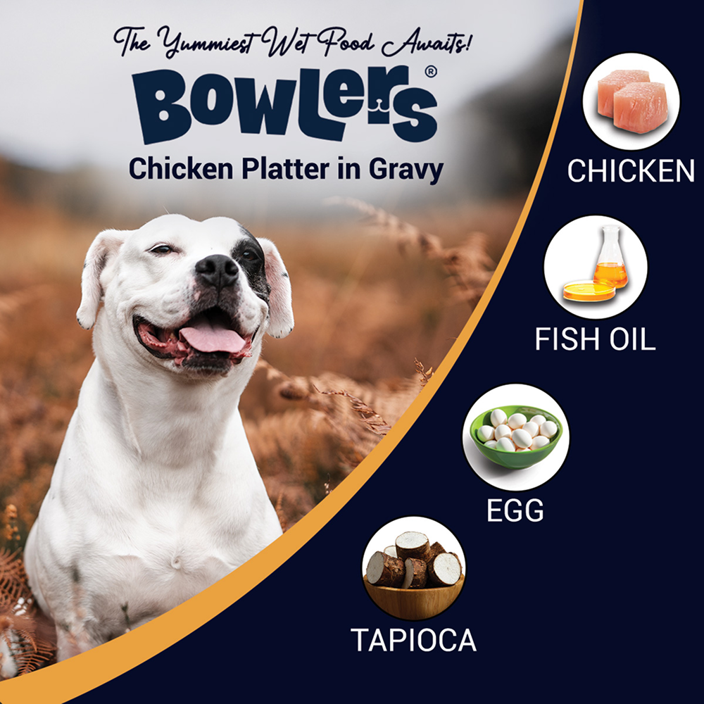 Bowlers Chicken Recipe in Gravy Dog Wet Food image 3