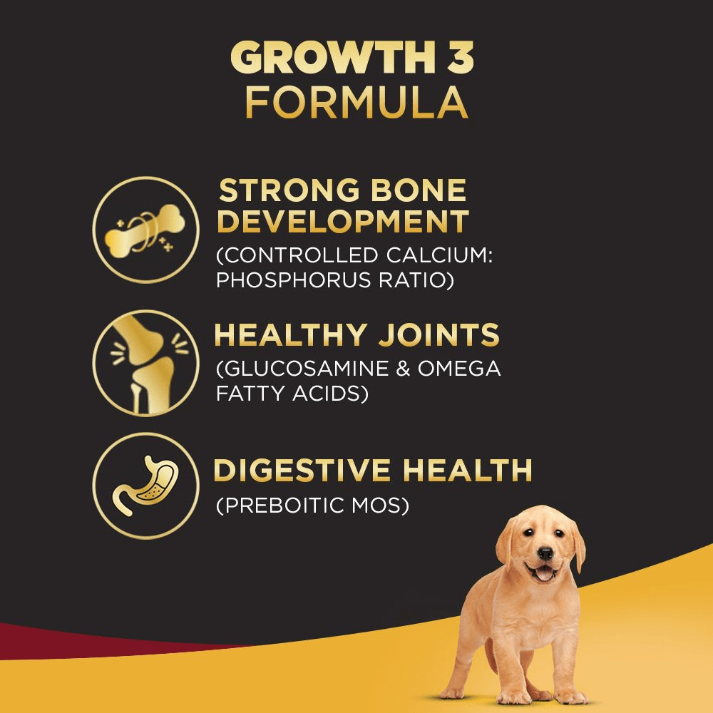 Pedigree PRO Expert Nutrition for Large Breed Puppy Dry and Chicken Chunks in Gravy Puppy Wet Food Combo image 5