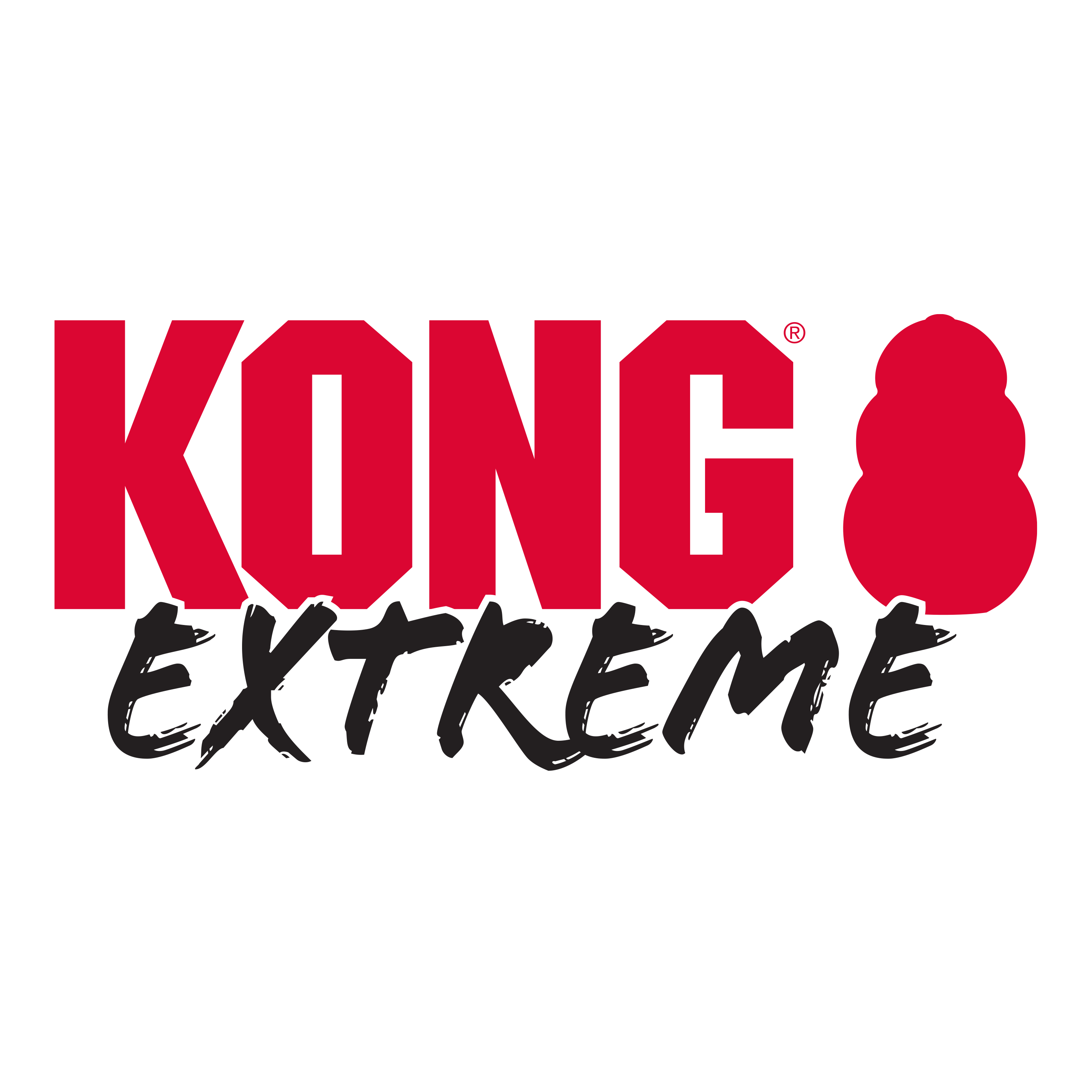 Kong Extreme Toy for Dogs (Black) image 5