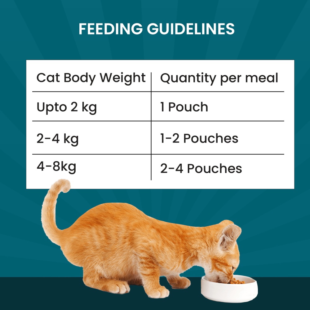 Goofy Tails Wholesome All Natural 3 in 1 Trial Variety Pack Cat Wet Food image 6