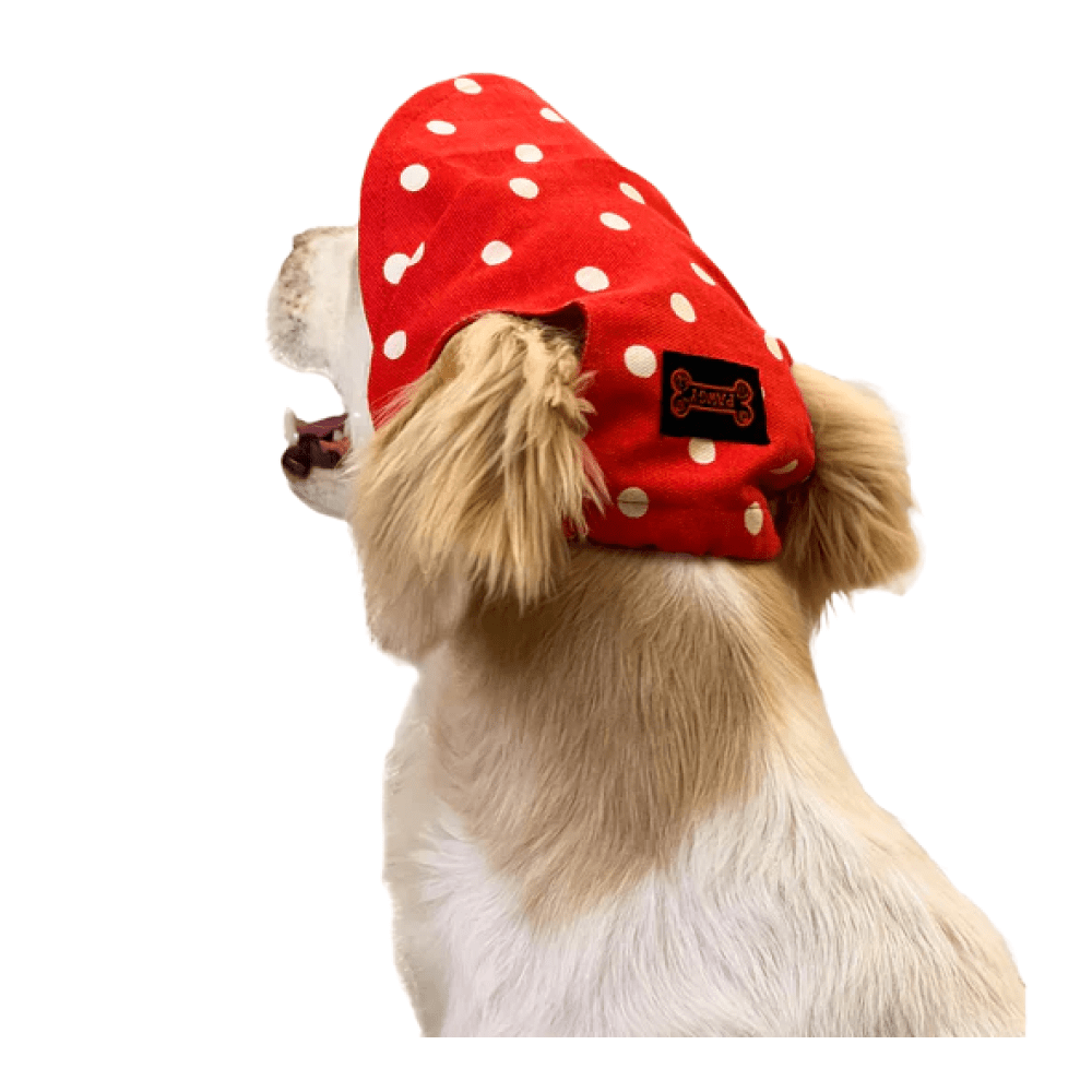 Pawgypets Polka Cap for Dogs and Cats (Red) image 3