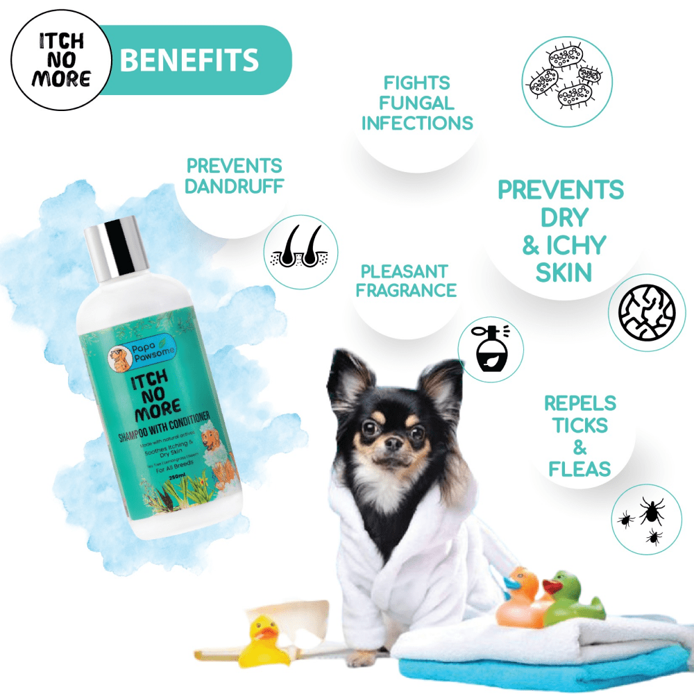 Papa Pawsome Itch No More Shampoo with Conditioner and Assorted Brush or Toy for Dogs image 4