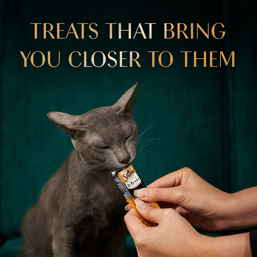 Sheba Chicken & Chicken Whitefish Sasami Selection Melty Premium Cat Treats image 8
