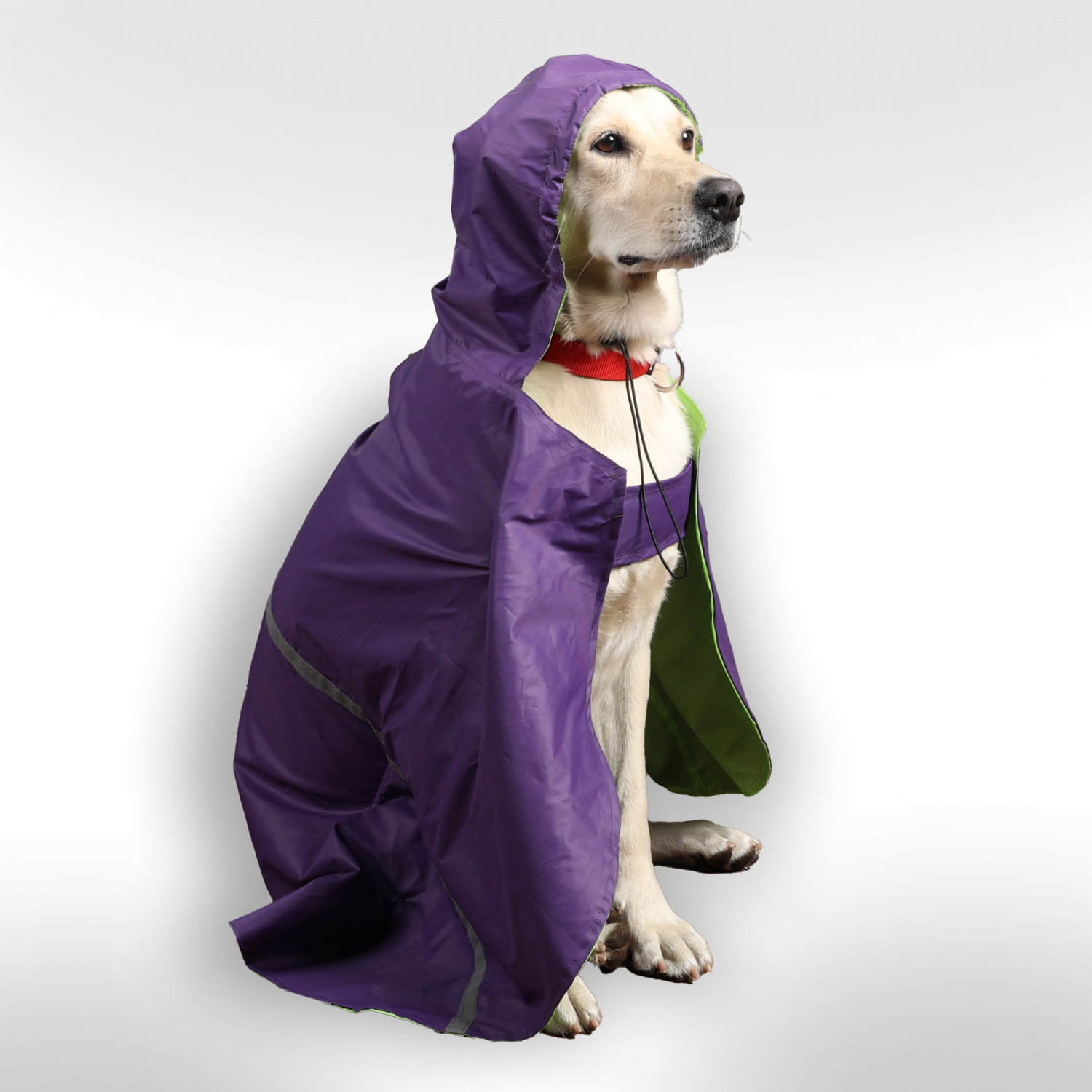 Skatrs Full Coverage Cape Style Raincoat for Dogs and Cats (Purple) image 10