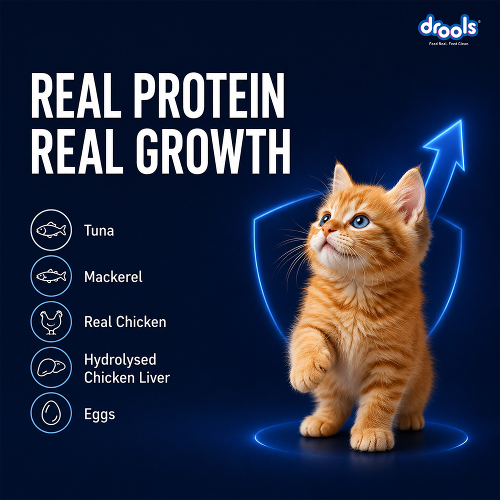 Drools Ocean Fish Mousse Kitten Cat Wet Food image 7