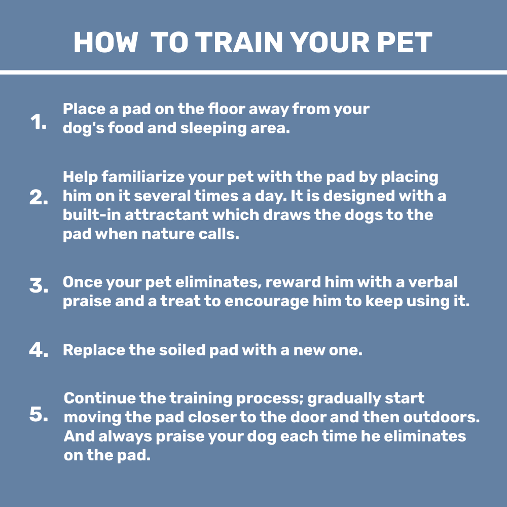 Kibbo Ultra Absorbent Leak Proof Training Pads for Dogs & Cats (45x60cm) image 6