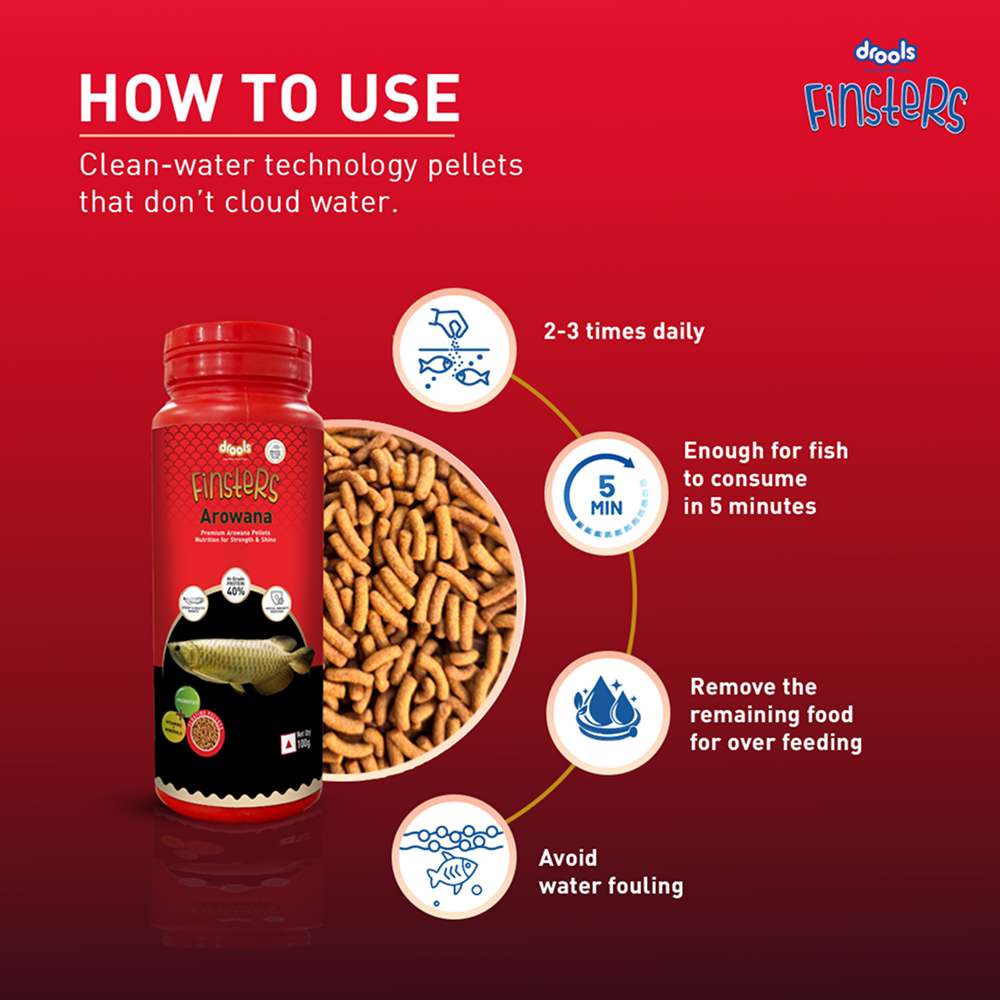 Drools Finsters Arowana Fish Food image 5