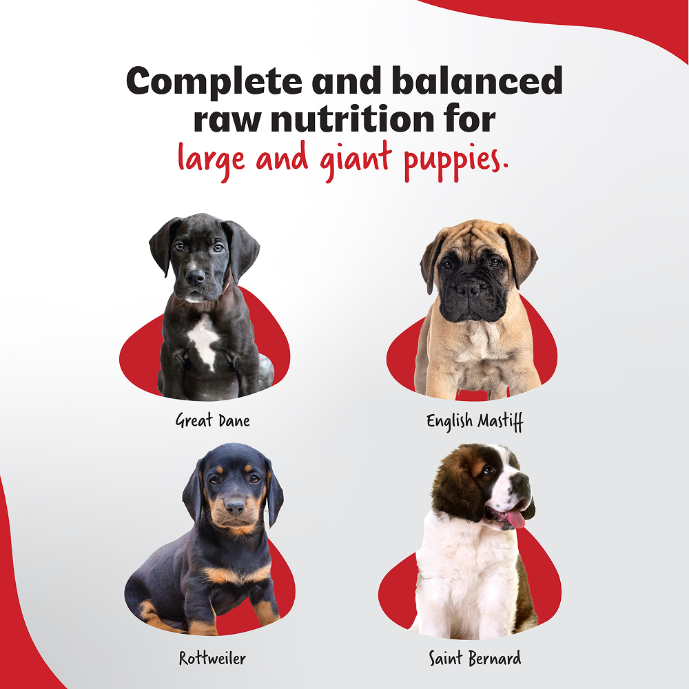 Right4Paws Ultimate Diet Large & Giant Puppy Dog Dry Food image 9