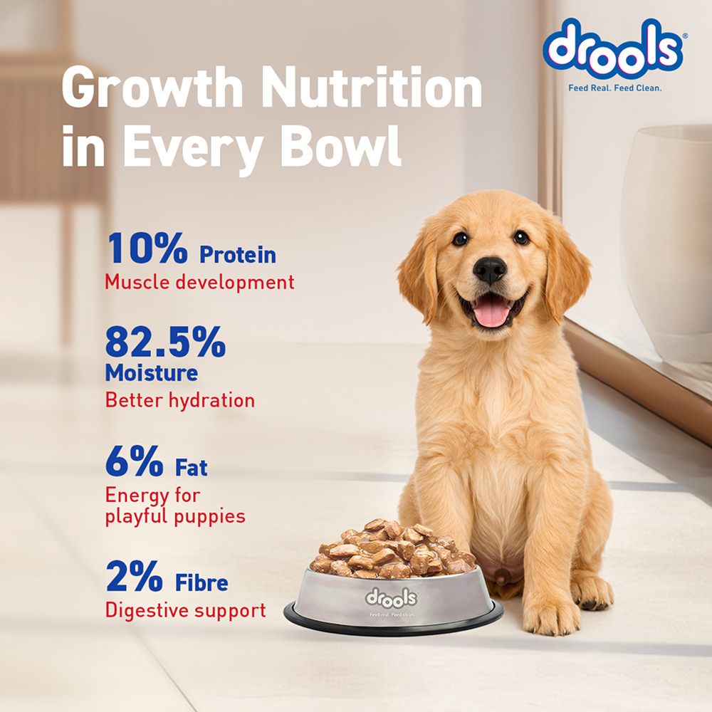 Drools Real Chicken & Chicken Liver Chunks in Gravy Puppy Dog Wet Food image 10