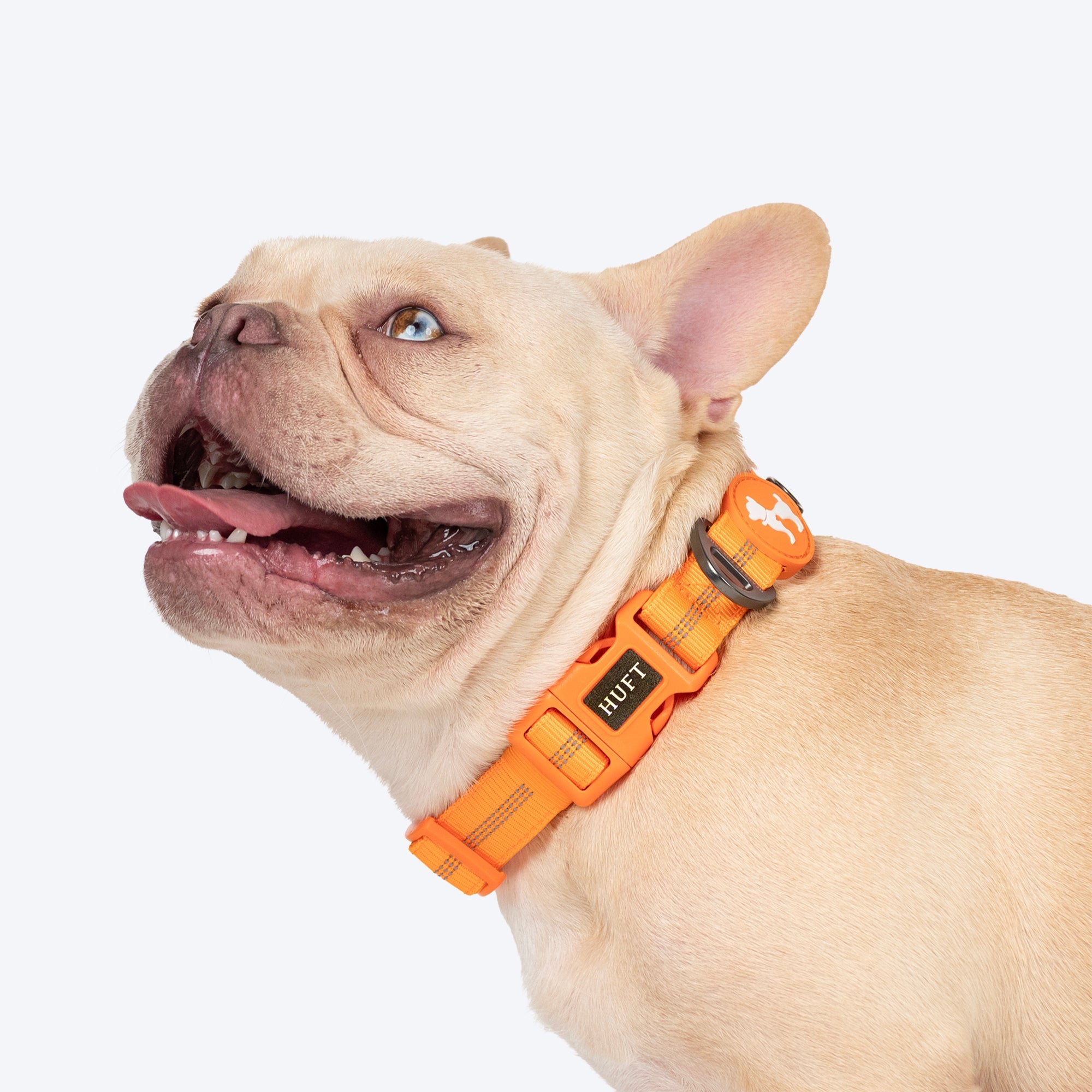 HUFT Xplorers Collar for Dogs (Orange) image 3