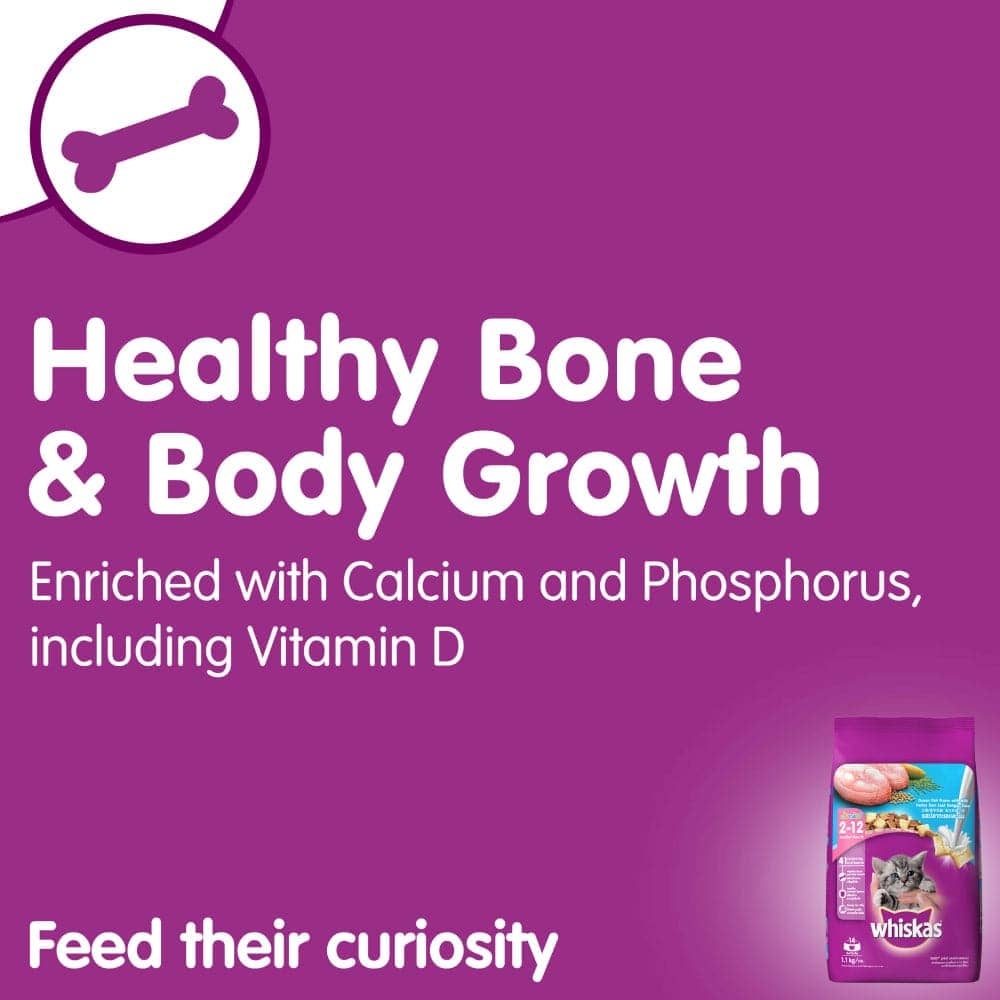 Whiskas Tuna in Jelly Kitten Wet Food and Ocean Fish Kitten Dry Food Combo image 3