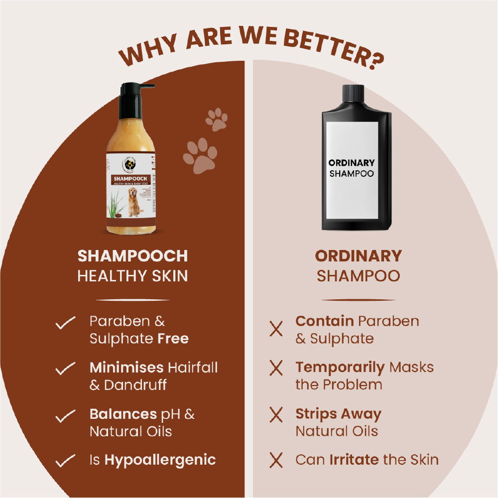 FurBall Story Shampooch Healthy Skin & Shiny Coat Shampoo for Dogs image 6
