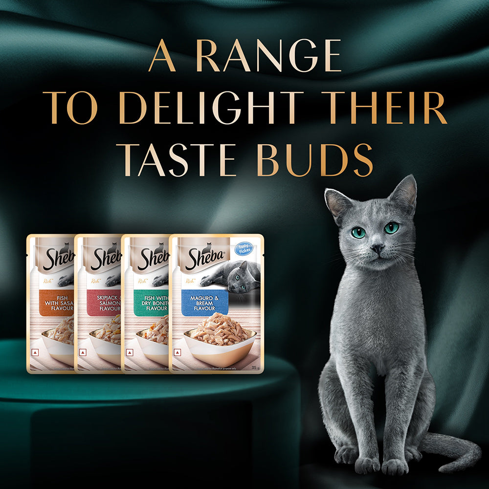 Sheba Fish with Sasami Premium Cat Wet Food image 6