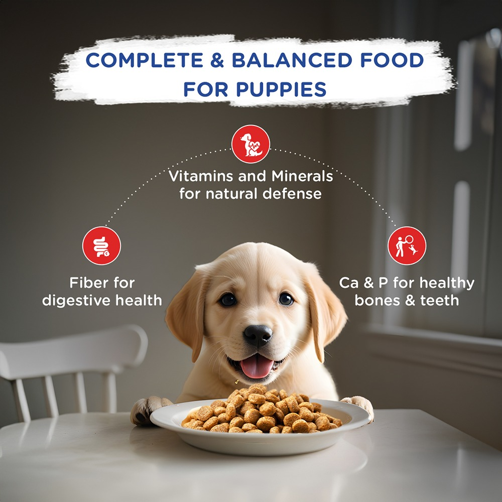 Chappi Chicken & Milk Dry Puppy Food image 3