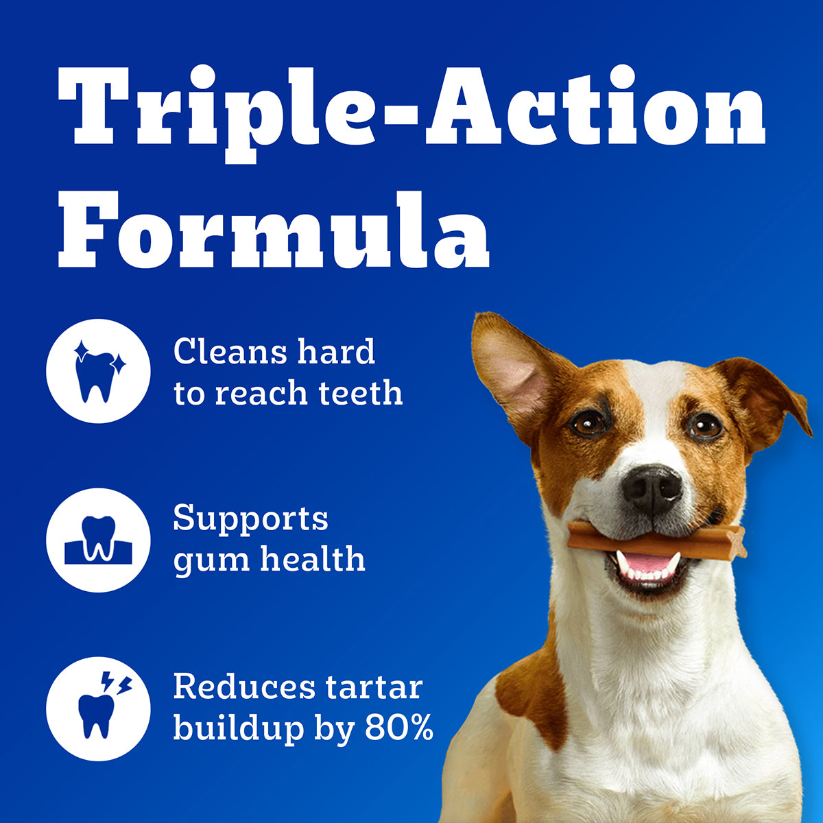 Pedigree Dentastix Oral Care for Adult (Medium Breed of 10 to 25 kg) Dog Treats image 2