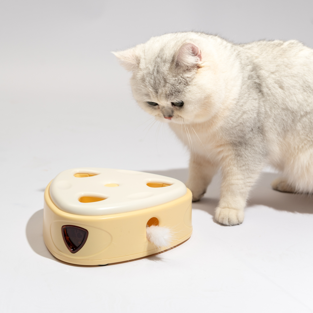 Barkbutler x Fofos Cheese Box Interactive Toy for Cats image 7