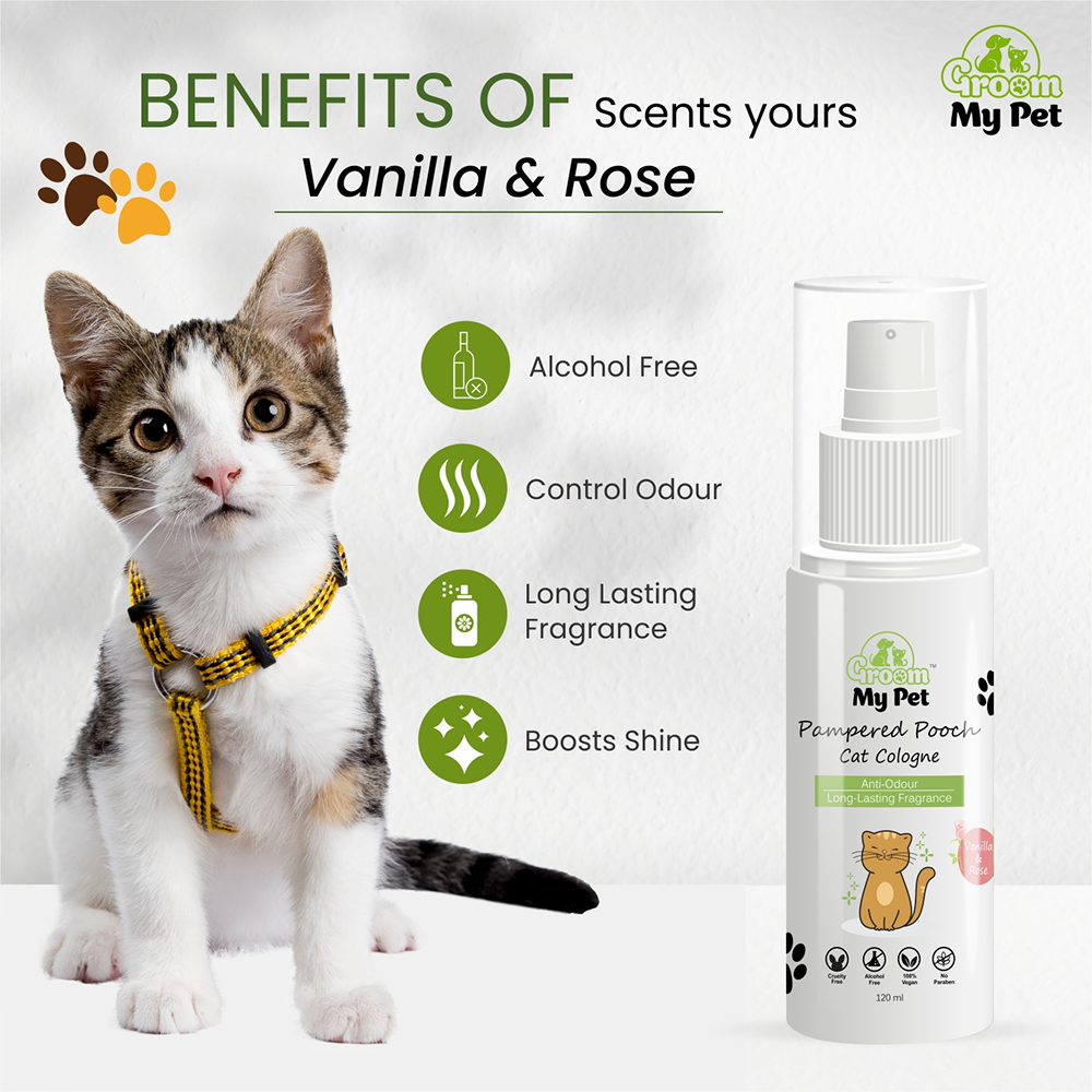 Groom My Pet Vanilla and Rose Pampered Pooch Cologne for Cats image 2