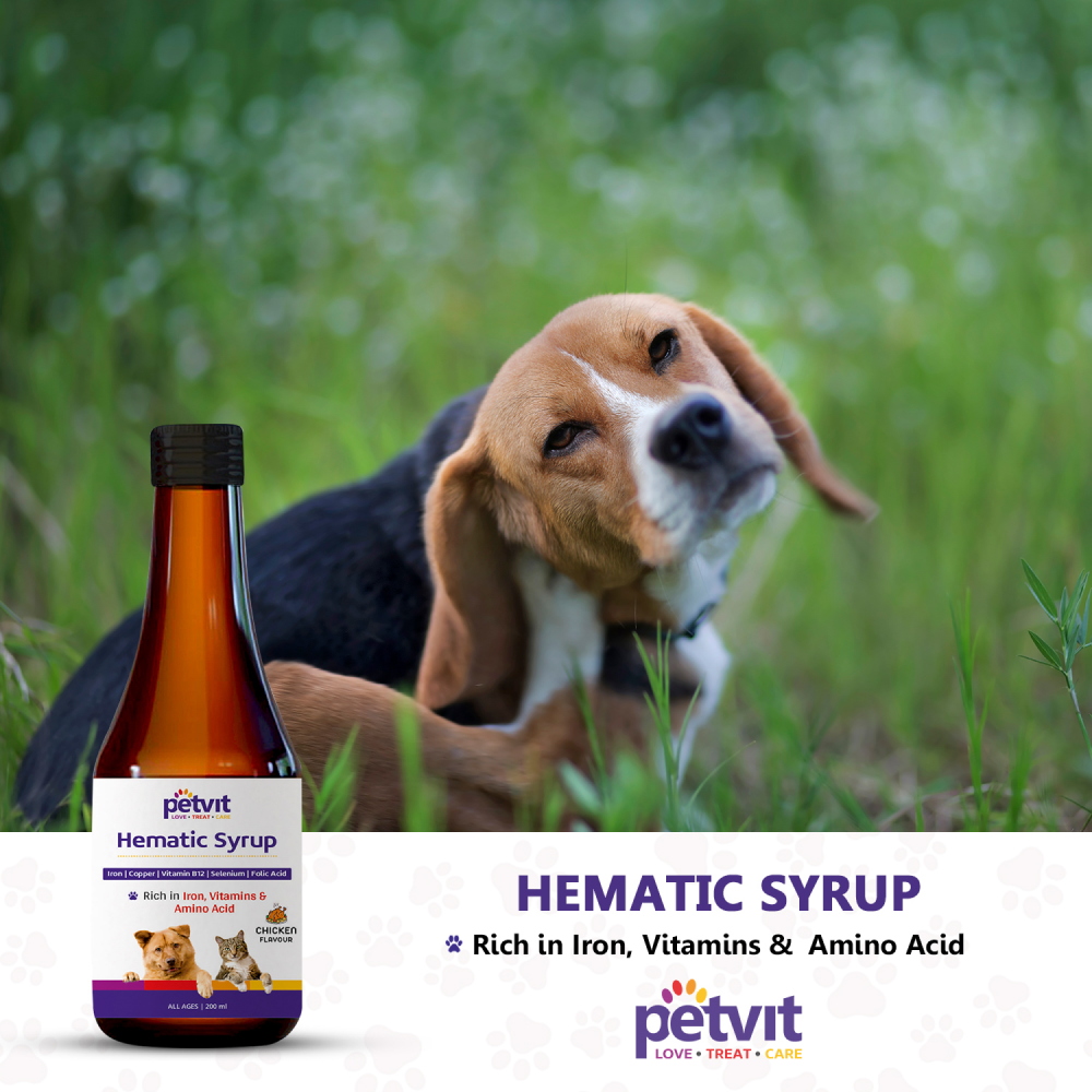 Petvit Hematic Syrup for Dogs and Cats image 8