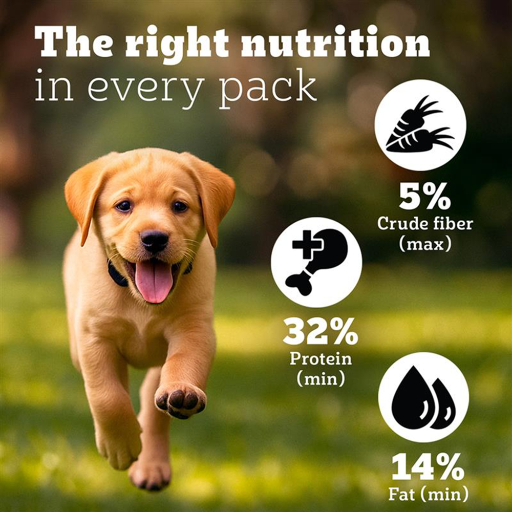 Pedigree PRO Expert Nutrition for Large Breed Puppy(3 to 18 Months) Dry Food image 5