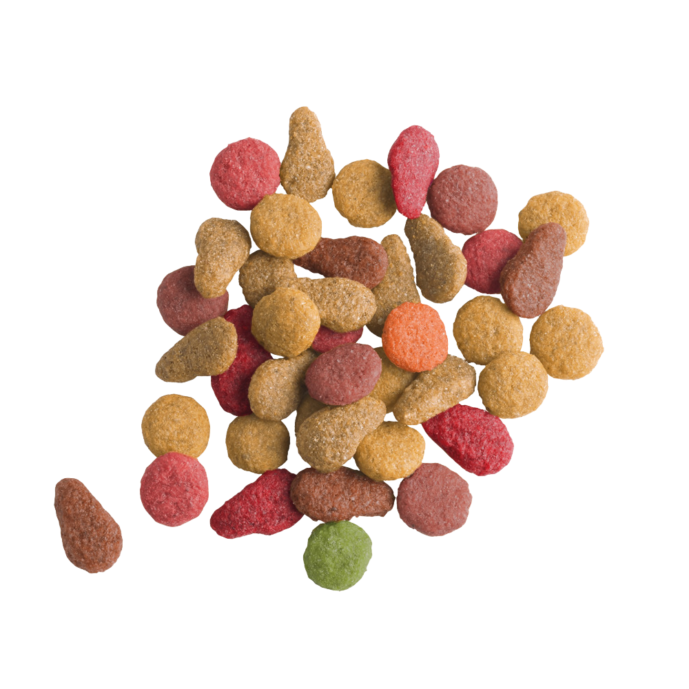 Versele Laga Lara Salmon Adult Cat Dry Food image 4