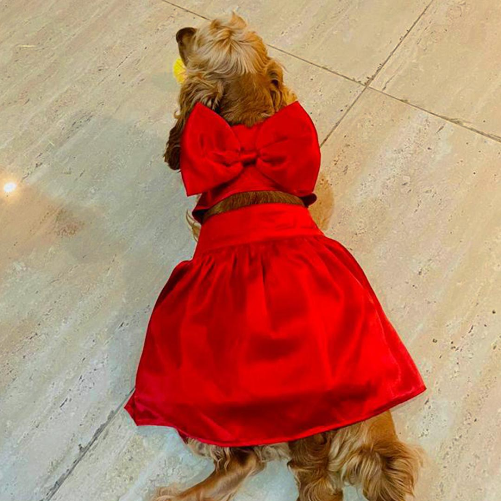 Dogobow Little Dress for Cats and Dogs (Red) image 6
