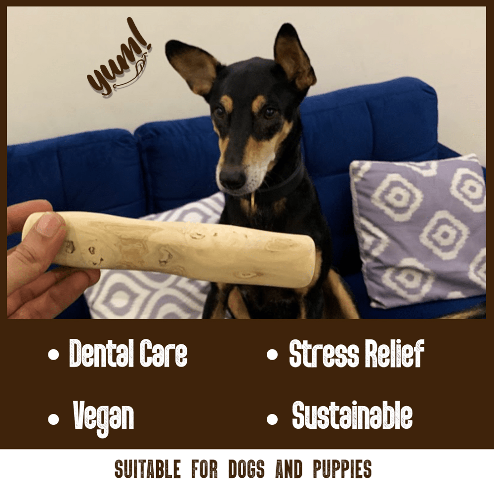 Goofy Tails Coffee Wood Chewing Stick Toy for Dogs | For Medium Chewers image 3