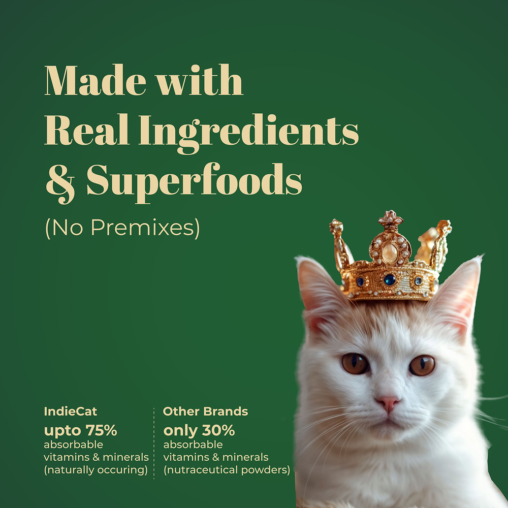 IndieCat Royal Growth Chicken Kitten Cat Wet Food image 5