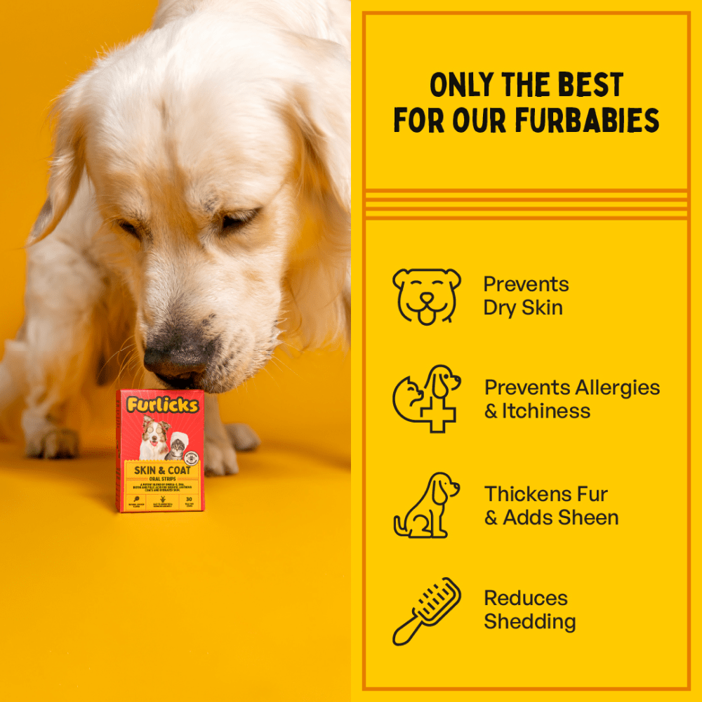 Furlicks Skin Coat & Hip & Joint Supplement Combo for Dogs & Cats image 4