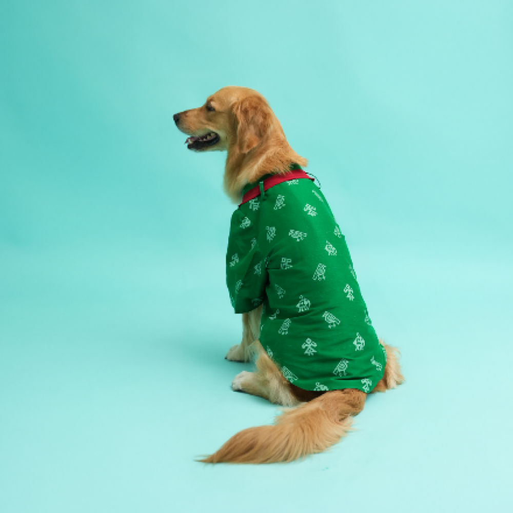 Floof & Co Cotton Patola Print Kurta for Dogs (Green) image 2