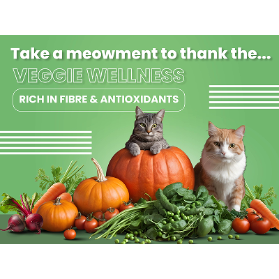 Bark Out Loud Salmon and Chicken Adult Cat Dry Food image 5
