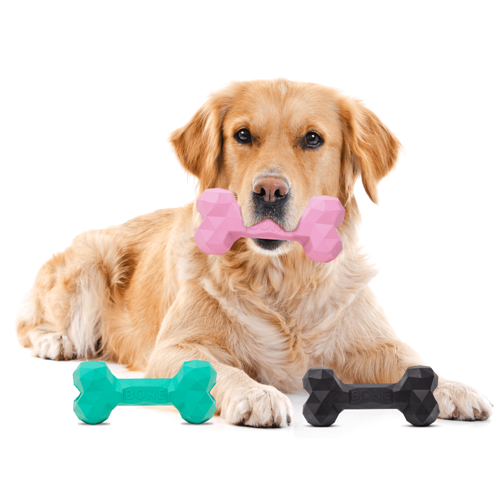 Barkbutler Chu the bone Treat Dispensing Toy for Dogs (Pink) image 4