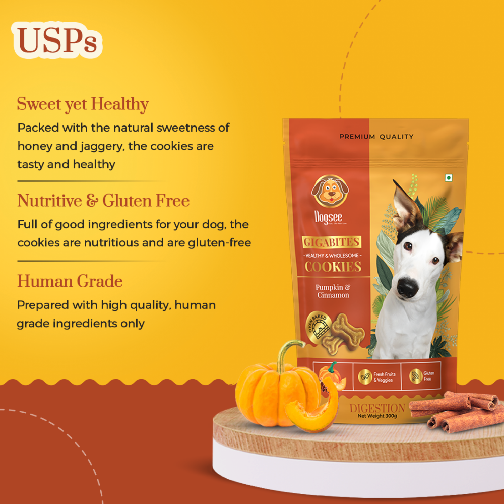 Dogsee Chew Gigabites Pumpkin and Cinnamon Dog Cookie Treats image 5
