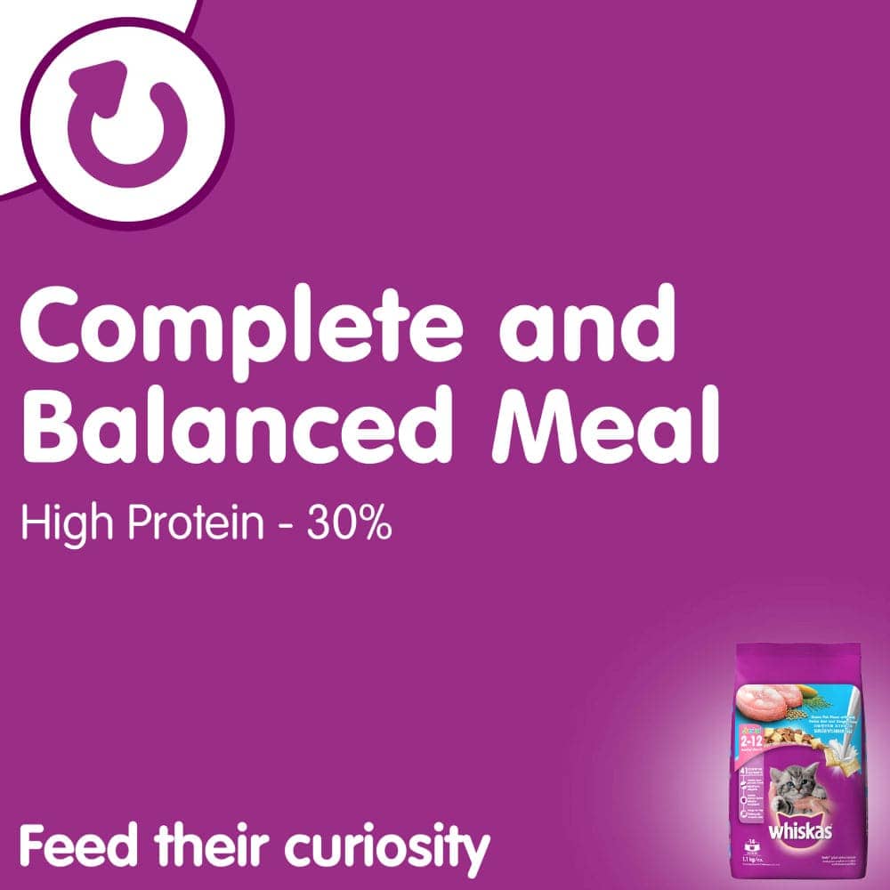 Whiskas Tuna in Jelly Kitten Wet Food and Ocean Fish Kitten Dry Food Combo image 4