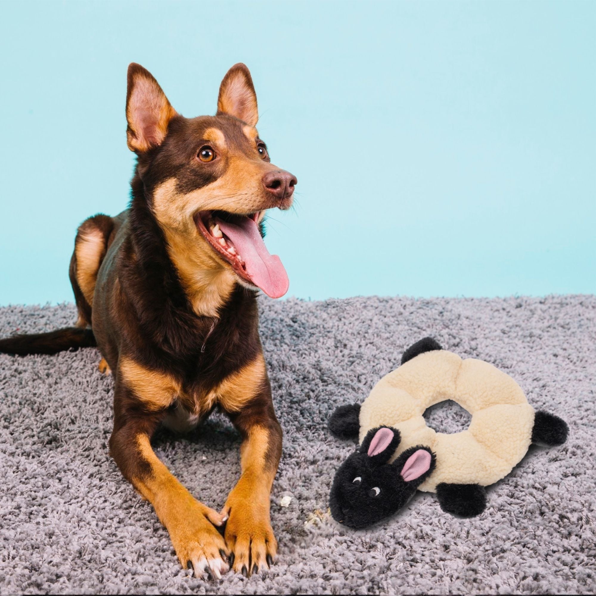 Zippy Paws Loopy Sheep Plush Toy for Dogs image 3