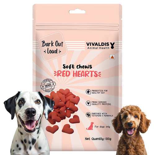 Bark Out Loud Valentine's Special Red Heart Dog Treat