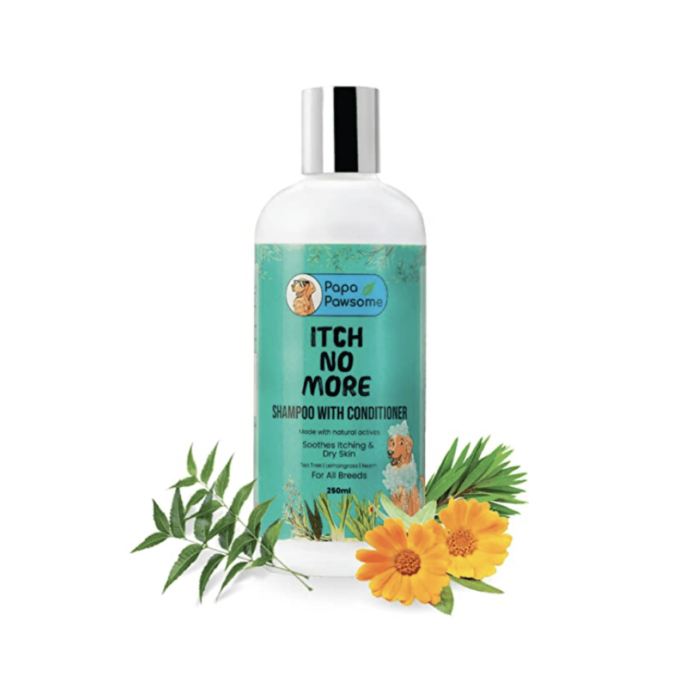 Papa Pawsome Itch No More Shampoo with Conditioner for Dogs image 2