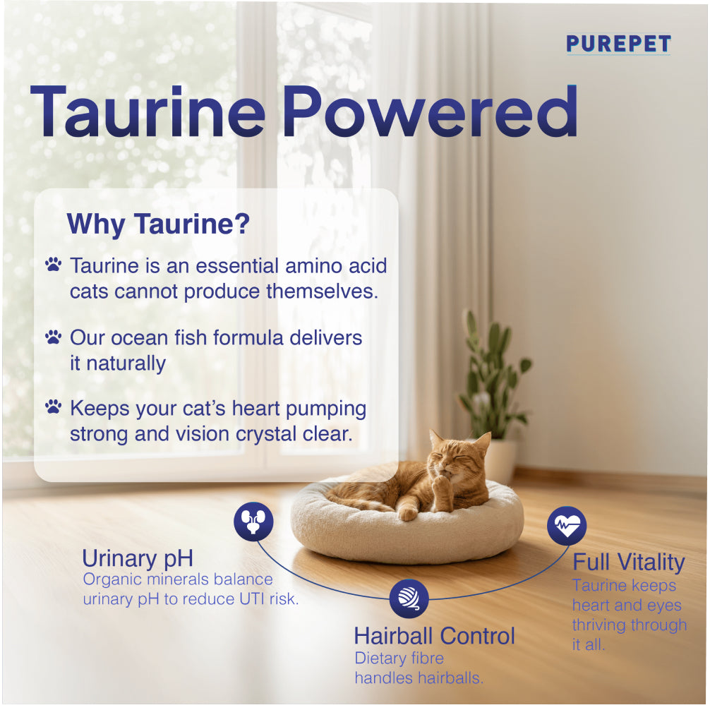 Purepet Ocean Fish Adult Cat Dry Food image 6