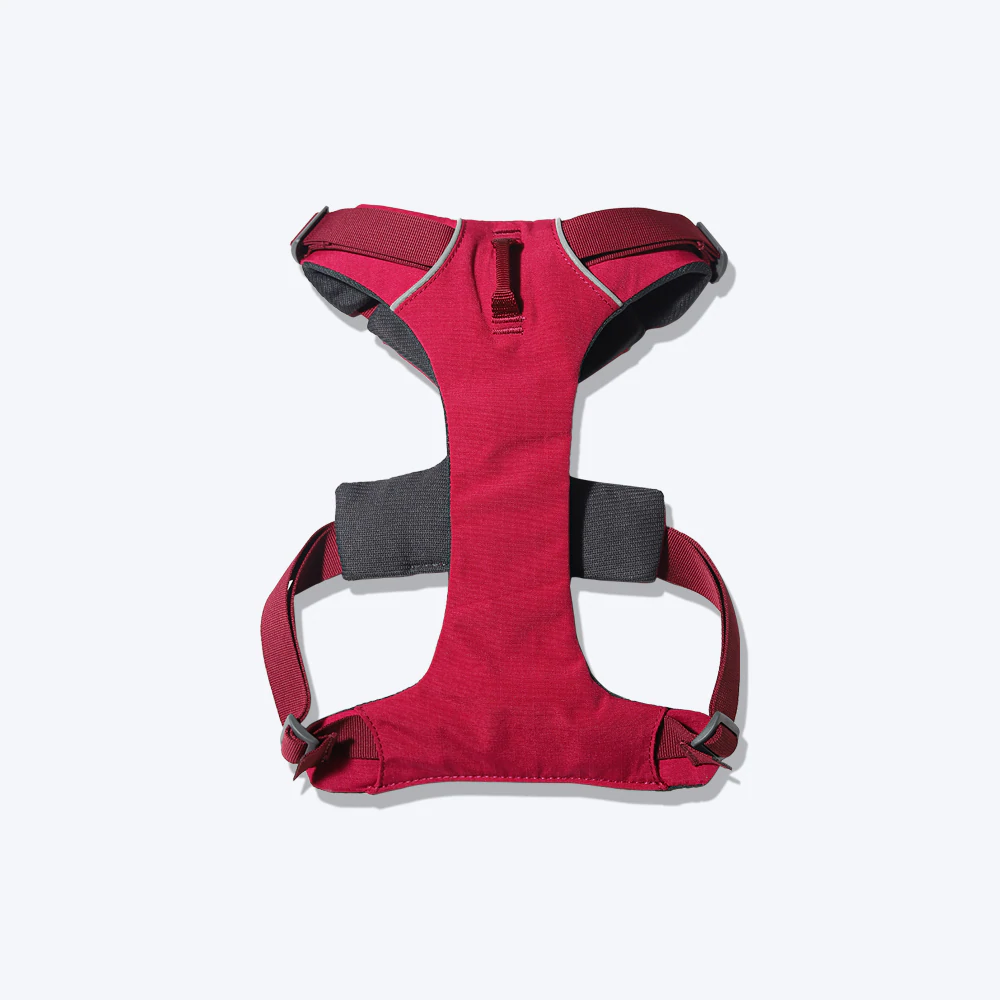 Ruffwear Front Range Harness for Dogs (Red Sumac) image 4