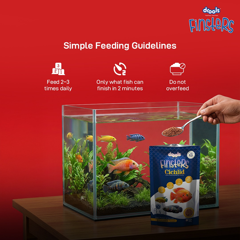 Drools Finsters Cichlid Fish Food image 5