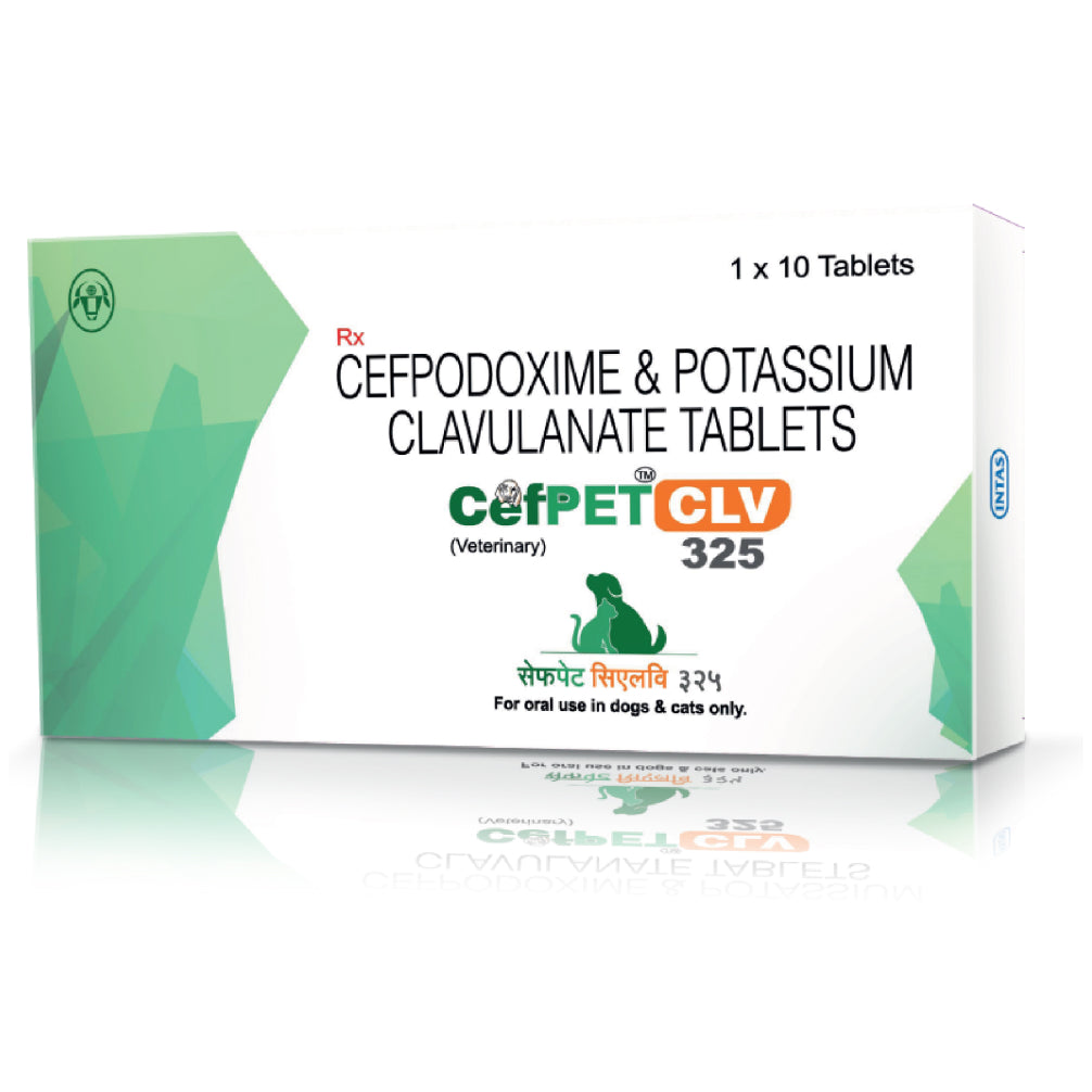 Intas Cefpet CLV 325mg Tablets (Cefpodoxime & Potassium Clavulanate) for Dogs and Cats image 3