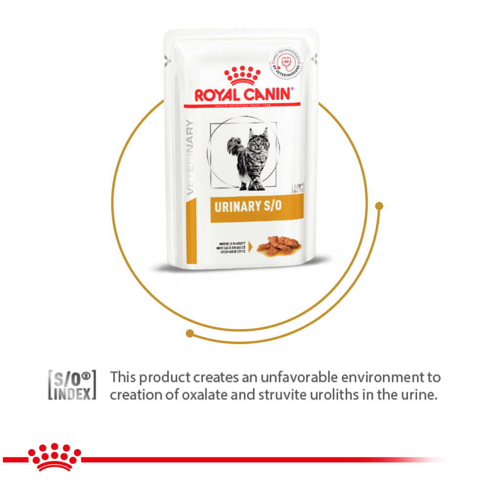 Royal Canin Veterinary Diet Urinary S/O Cat Chicken Wet Food image 2