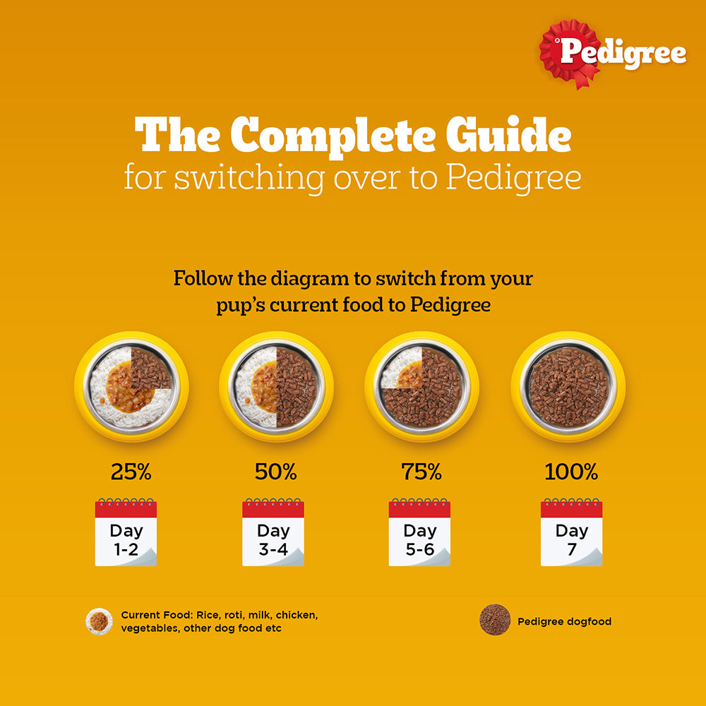 Pedigree Chicken & Liver Chunks in Gravy Puppy Wet Dog Food image 9