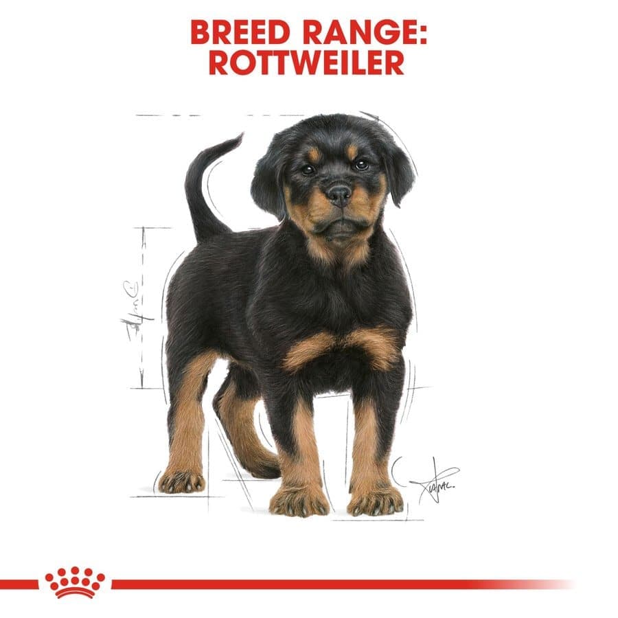 Royal Canin Rottweiler Puppy Dog Dry Food image 8