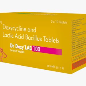 TTK Dr Doxy LAB 100mg Tablets for Dogs & Cats (Doxycycline &  Lactic Acid Bacillus)
