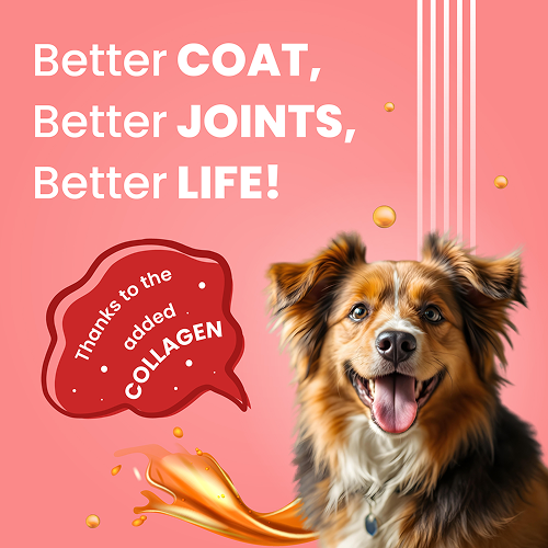 Bark Out Loud Collagen Protein Bar Chicken & Fish Treat for Dogs image 6